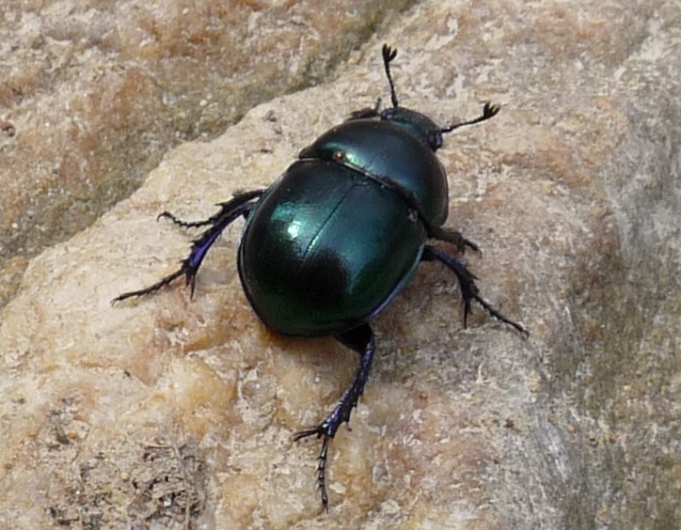 Valle del Farma e Stagno della Troscia: luoghi meravigliosi!